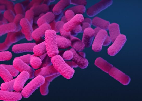 The Truth About Antibiotic Resistance: A Growing Global Threat