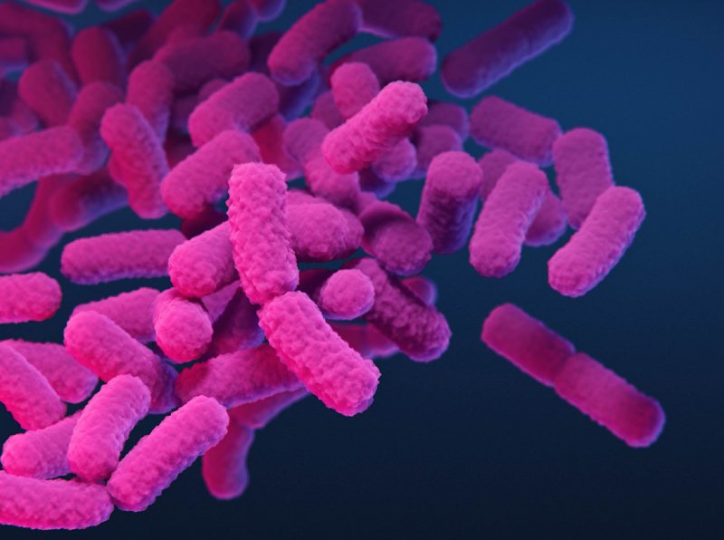 The Truth About Antibiotic Resistance: A Growing Global Threat