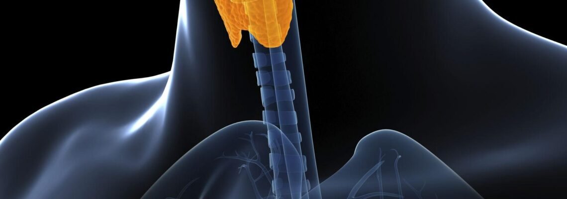 Everything You Need to Know About Thyroid Disorders