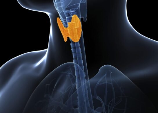 Everything You Need to Know About Thyroid Disorders
